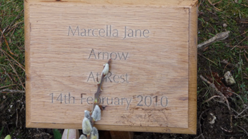 Marcella temporary headstone
